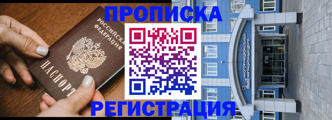 найти адрес прописки в Елизово
